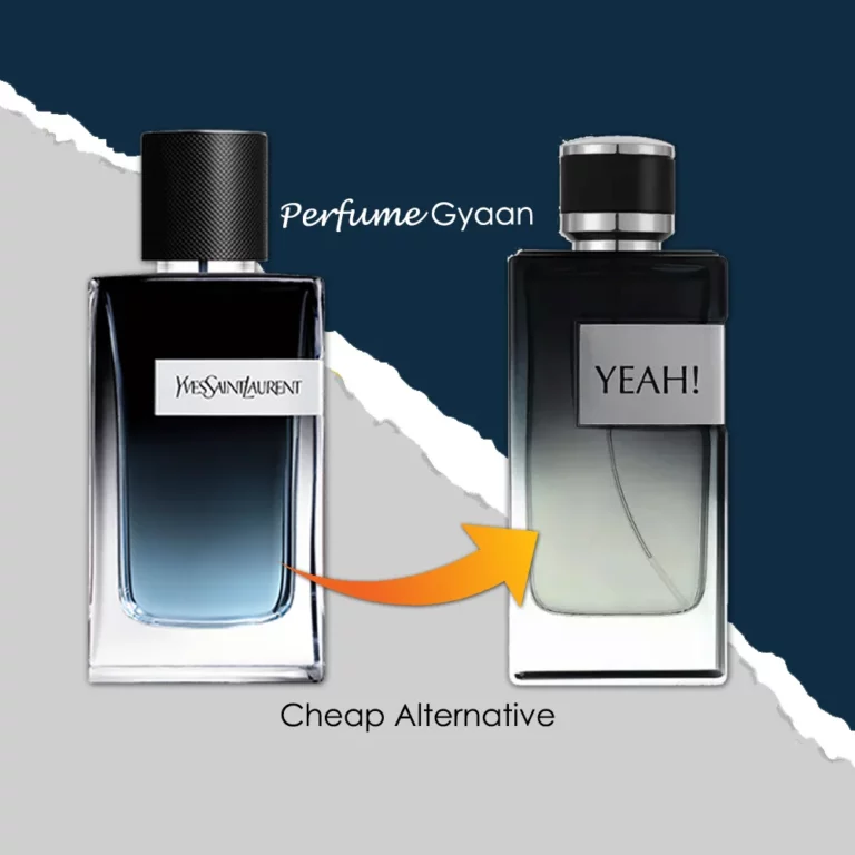 Yeah Man Parfum 100 ml maison alhambra eau de parfum homme