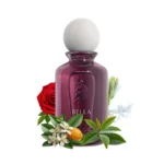 Bella Laverne 100 ml Eau de Parfum pour Femme