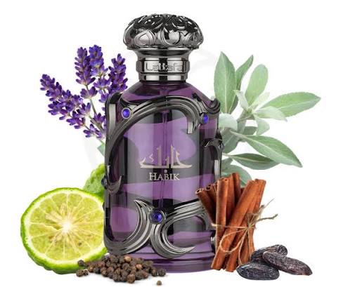 Habik For Men Lattafa Eau de Parfum pour Homme
