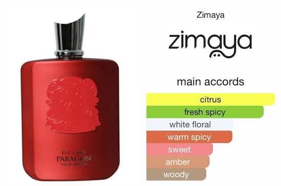 Red Carpet Paragon Zimaya 100 ml Eau de Parfum Unisexe
